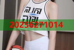 糖心vlog缓存路径高速离线观看高清体验